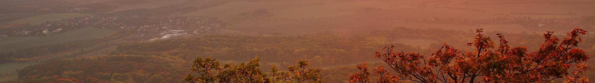 a panorama of a forest and a village